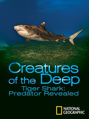 cover image of Tiger Shark: Predator Revealed